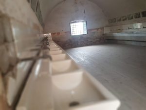 Terezin
